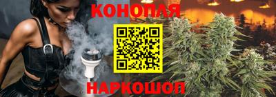 ECSTASY Камышлов