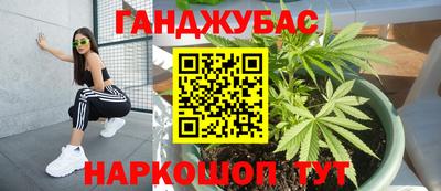 гашик Ипатово