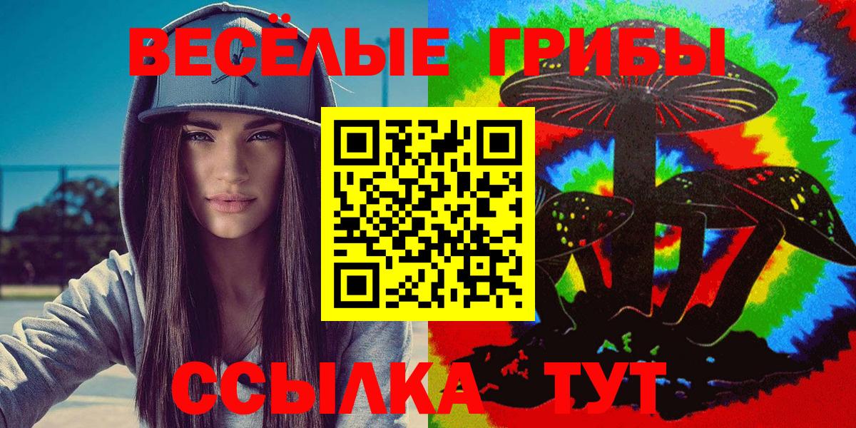 закладка  Псилоцибиновые грибы мухоморы  Вход с VPN  Псилоцибиновые грибы MAGIC MUSHROOMS  Миллерово 
